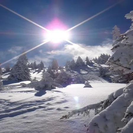 Mountain Dream By Managers Daire *